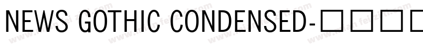 NEWS GOTHIC CONDENSED字体转换